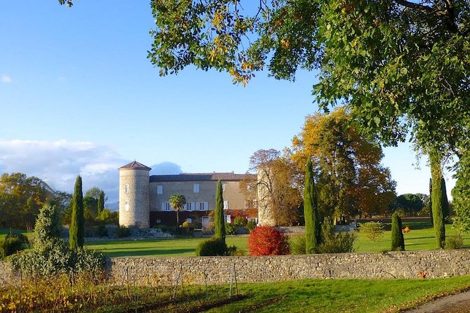 Domain visit - Who will get the most from Château de la Selve