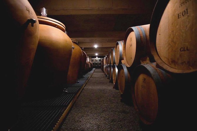 Domain visit - Seeing the vat room where wine takes shape