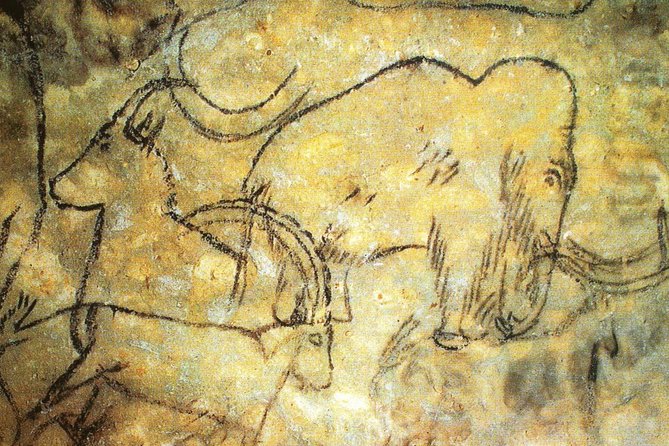 Dordogne Day Tour : Prehistory and The Art of the Caves from Sarlat - Key points before you book
