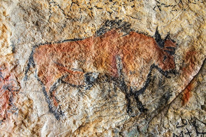 Dordogne Day Tour : Prehistory and The Art of the Caves from Sarlat - What the small group adds