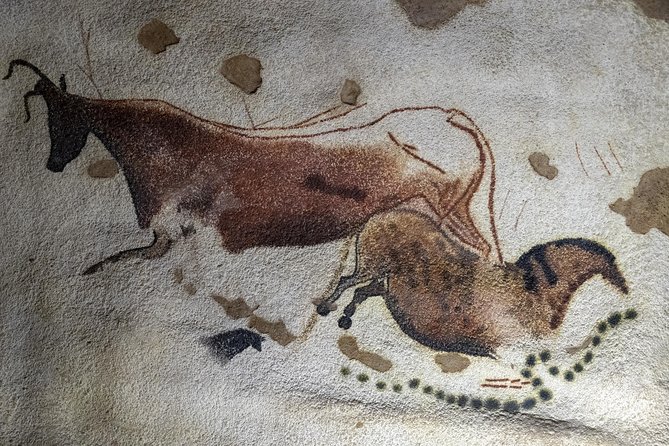 Dordogne Day Tour : Prehistory and The Art of the Caves from Sarlat - The National Museum of Prehistory at Les Eyzies