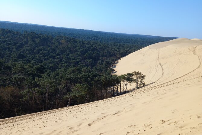 Dune du Pilat and Oysters Tasting in only 1 hour away from Bordeaux ! What else? - What the $150 price really covers