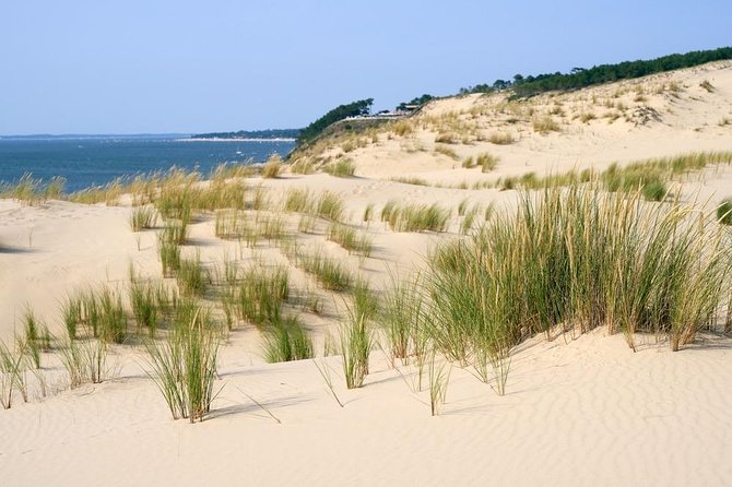 Dune du Pilat and Oysters Tasting in only 1 hour away from Bordeaux ! What else? - Oyster tasting at La Teste-de-Buch