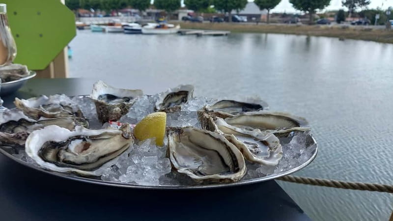 Dune du Pilat, Oysters Tasting and Arcachon! What else ? - Arcachon, beaches, and old villas