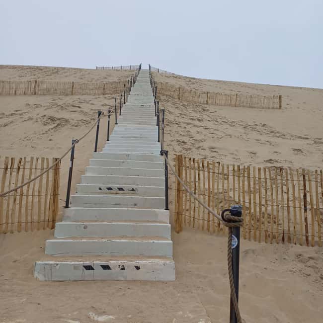Dune du Pilat, Oysters Tasting and Arcachon! What else ? - Should you book this Arcachon Bay outing?