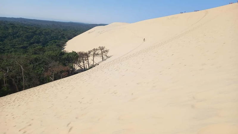 Dune du Pilat, Oysters Tasting and Arcachon! What else ? - Climbing Europe’s highest sand dune