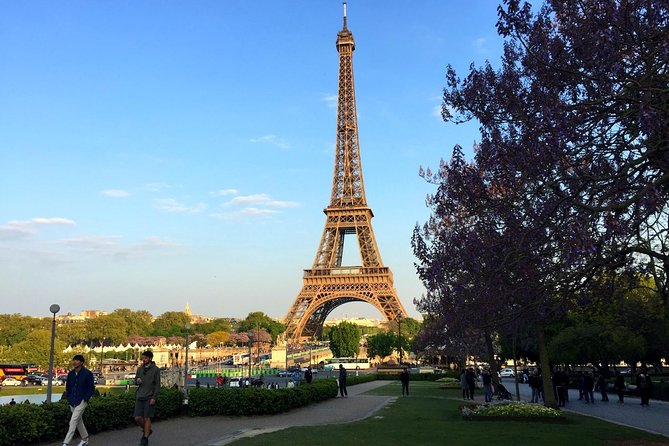 Eiffel Tower Elevator Tour with Optional Summit & Cruise Access - Meeting at Avenue Elisée Reclus