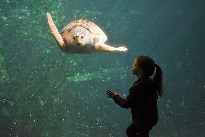 Entrance Ticket Nausicaa, the biggest aquarium in Europe - The voucher issue matters more than the phrase skip-the-line