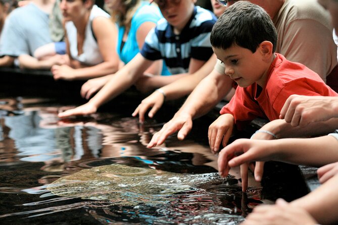 Entrance Ticket Nausicaa, the biggest aquarium in Europe - Crowds can change the whole day