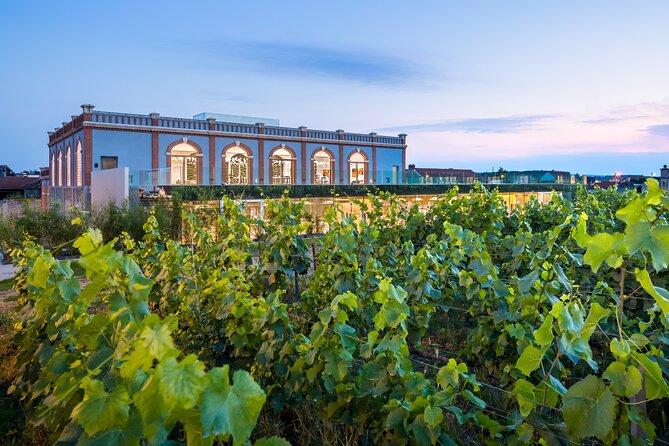 Entrance ticket to Pressoria in the heart of Champagne with Tasting - Key points at a glance