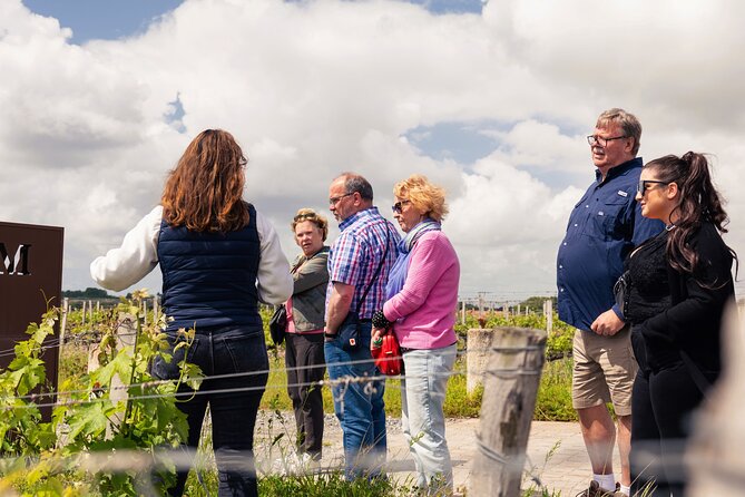 Essential Wine Tour with Tasting & Chateau Visits from Bordeaux - The 30-minute ride out of Bordeaux