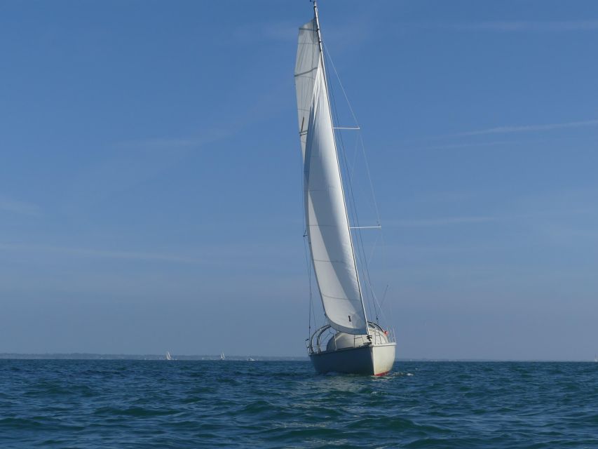 Evening aperitif cruise at the entrance of Morbihan's Gulf - Who will enjoy this evening cruise most
