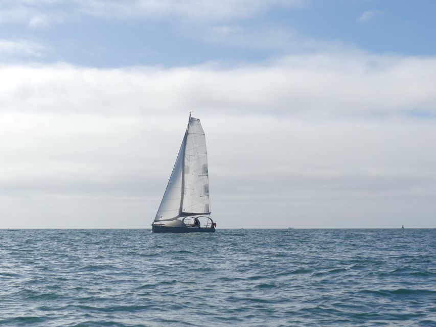 Evening aperitif cruise at the entrance of Morbihan's Gulf - Should you book the Port du Crouesty aperitif cruise?