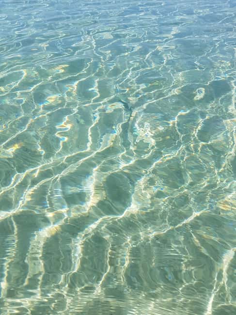 Excursion to Porquerolles Island from Bandol - Six and a half hours to choose your own route