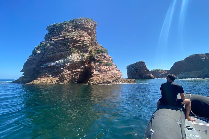 Explore the Wild Beauty of the Basque Coast by Boat - Hondarribia and the Spanish side of the coast