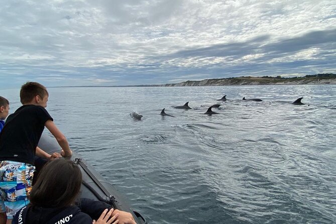 Explore the Wild Beauty of the Basque Coast by Boat - What the guide adds to the ride