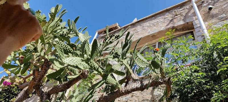Èze: Walking Tour with a Local Guide - The Exotic Garden and the best views