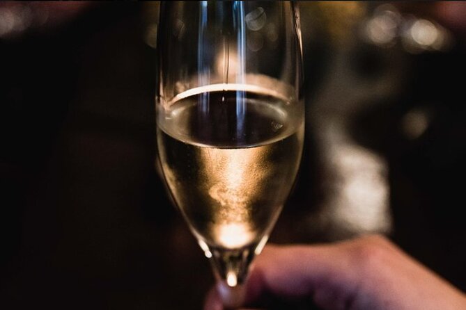 French Wine and Champagne Tasting in Paris - Appellation, terroir, and French labels made plain