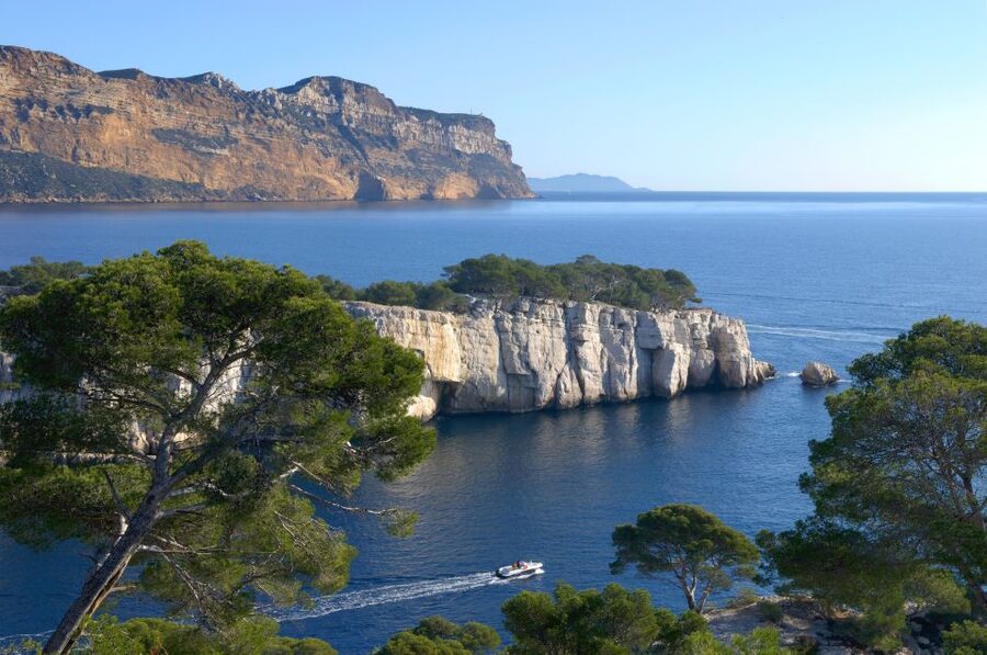 From Aix: Cassis Boat Ride & Provence Wine Tasting Day Tour - Tasting Cassis wines at a local winery