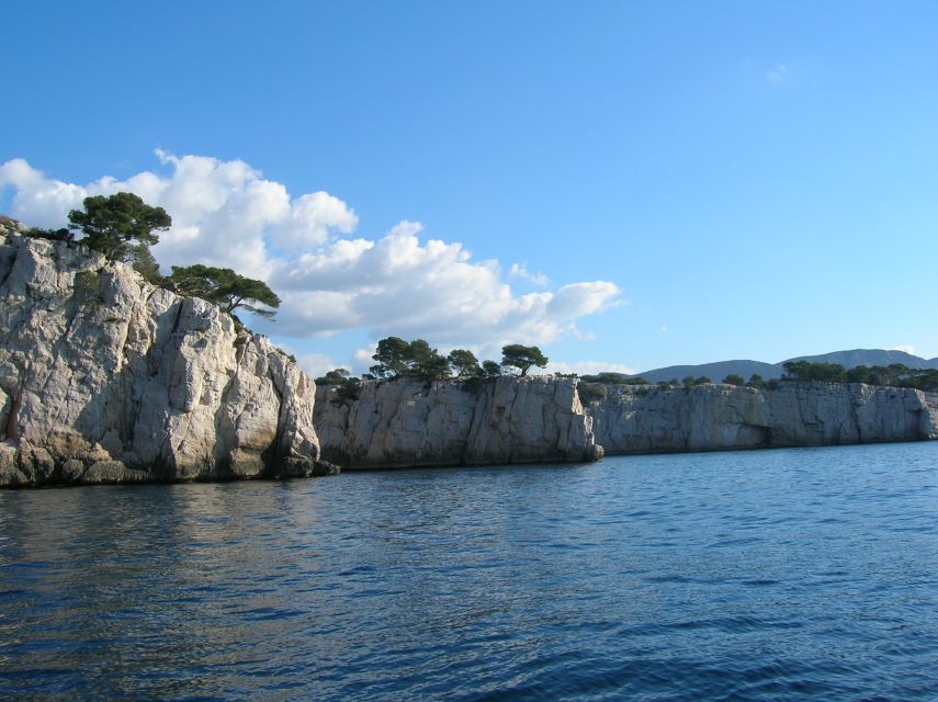 From Aix: Cassis Boat Ride & Provence Wine Tasting Day Tour - The guide can shape your entire day