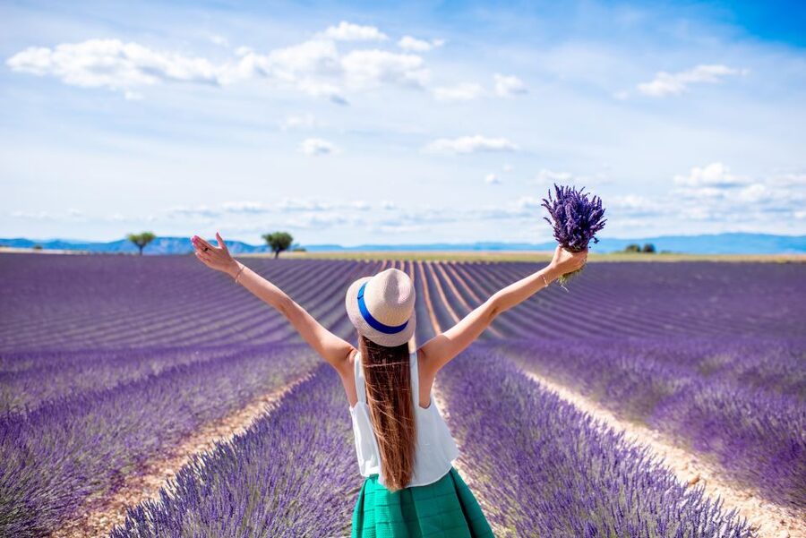 From Aix: Day Trip to Valensole Lavender Fields in Provence - Is $129 a fair price?