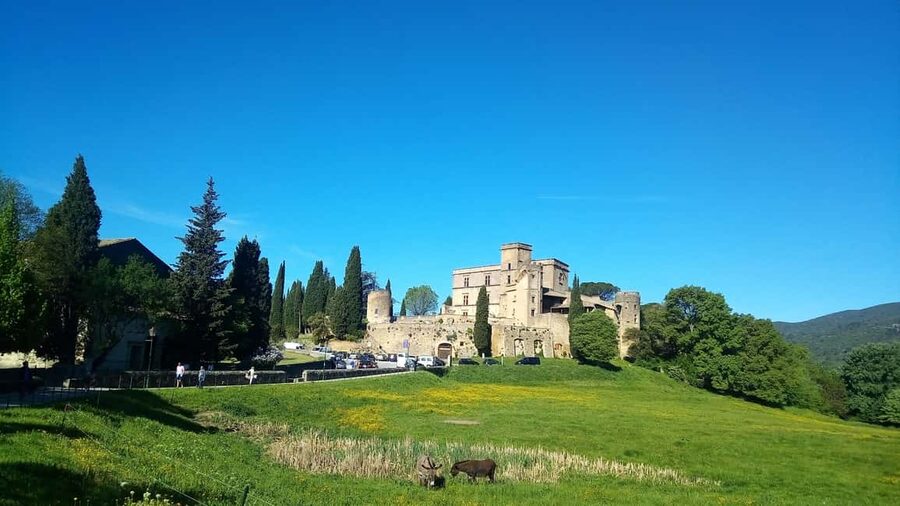 From Aix-en-Provence: Cassis & Luberon Full-Day Tour - The pace, vehicle, and guide make a difference