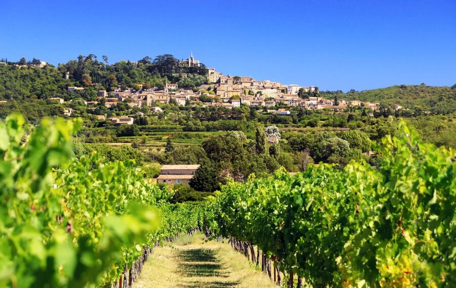 From Aix-en-Provence: Half-Day Wine Tour - Leaving Aix for the Côtes de Provence