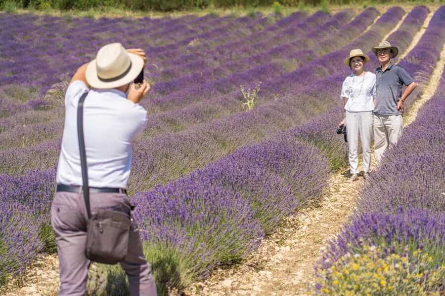 From Aix-en-Provence: Lavender Half Day Tour - When to go and what to expect from the bloom