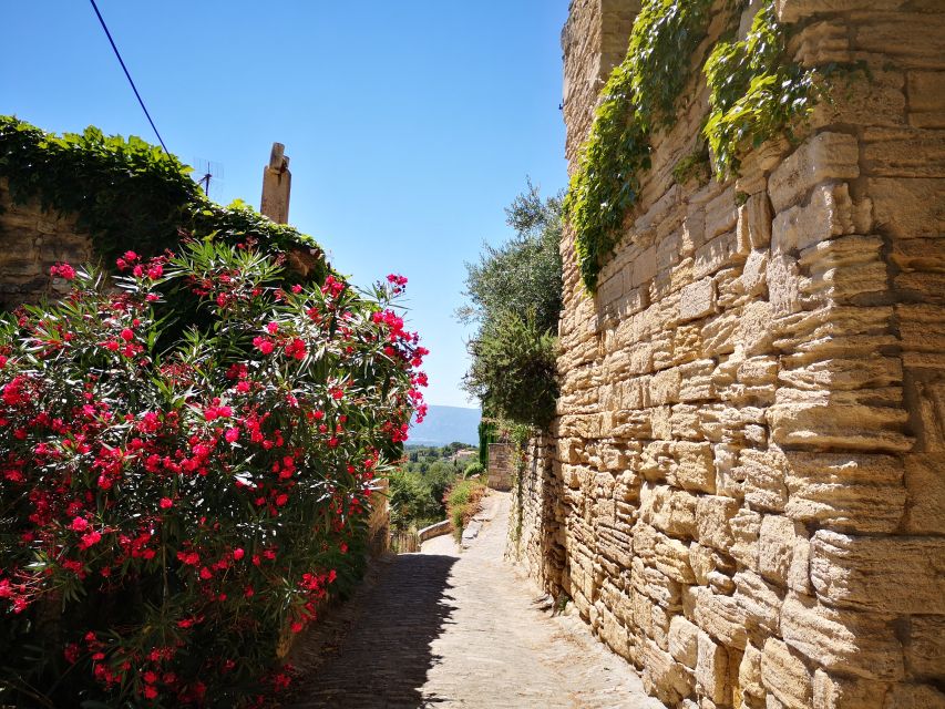 From Aix en Provence: Luberon Villages Full-Day Guided Tour - Lourmarin and the literary side of Provence
