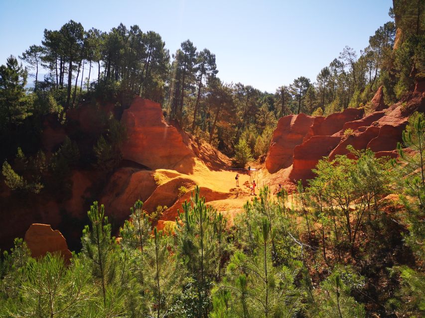 From Aix en Provence: Luberon Villages Full-Day Guided Tour - What the guide adds to the day