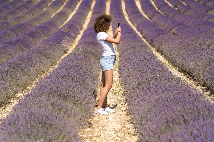From Aix-en-Provence: Sault Lavender & Gordes Full-Day Tour - Why the Valensole lavender fields are worth the long day