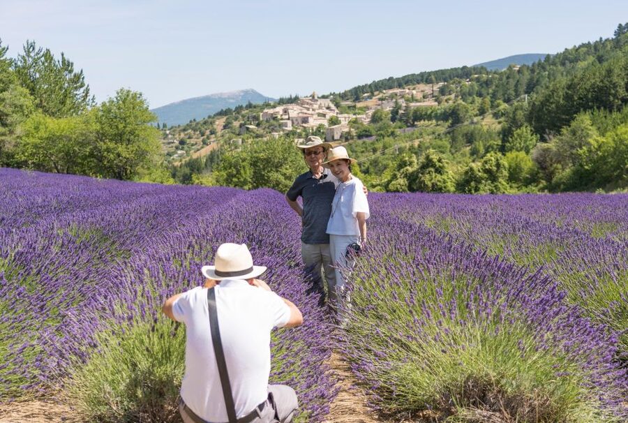 From Aix-en-Provence: Sault Lavender & Gordes Full-Day Tour - Should you book the Sault and Gordes lavender tour?
