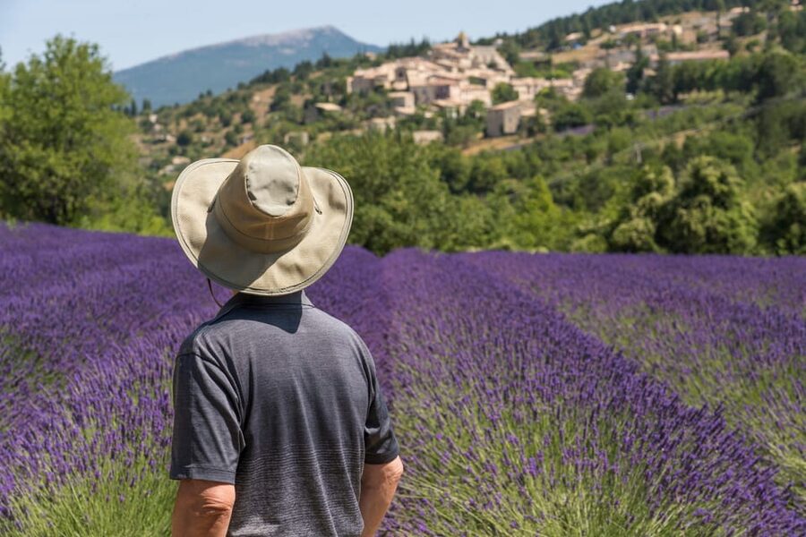 From Aix-en-Provence: Sault Lavender & Gordes Full-Day Tour - Meeting the people behind Provence’s blue crop