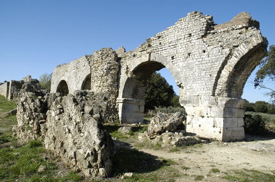 From Arles: Alpilles Regional Park Provence 4x4 Safari - Riding through vineyards, olives, and Roman remains