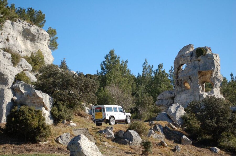 From Arles: Alpilles Regional Park Provence 4x4 Safari - The olive mill and local oil tasting