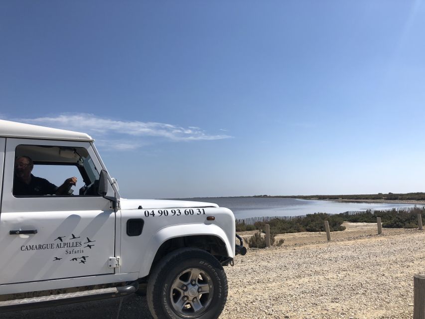 From Arles: Half-Day 4x4 Camargue Safari - Is $69 good value for four hours?