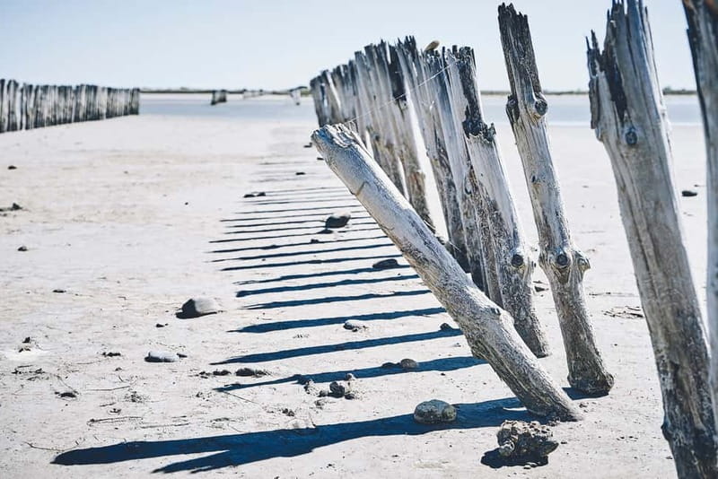 From Avignon: Camargue Tour with Pont de Gau Bird Park Entry - Saintes-Maries-de-la-Mer, church and beach