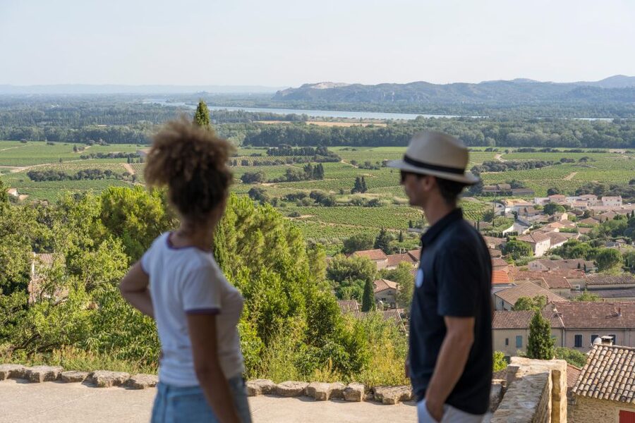 From Avignon: Châteauneuf du Pape Half-Day Wine Tour - Why Châteauneuf-du-Pape works as a half-day outing