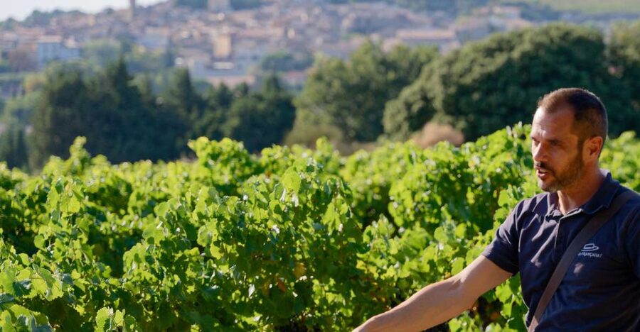 From Avignon: Châteauneuf du Pape Half-Day Wine Tour - First tasting: getting to know the appellation