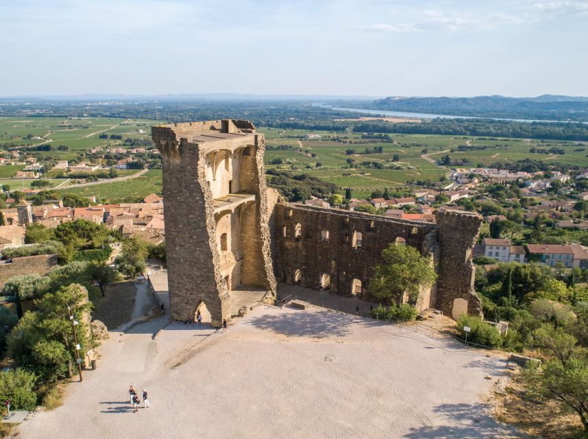 From Avignon: Châteauneuf du Pape Half-Day Wine Tour - Second tasting: comparing the two cellar visits