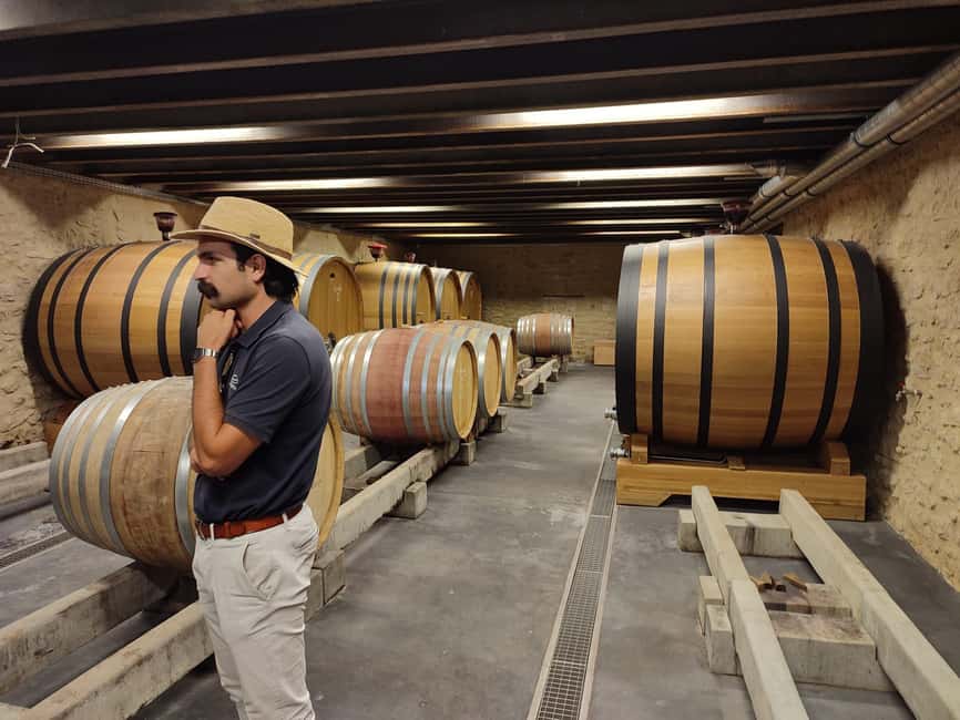 From Avignon: Châteauneuf du Pape Half-Day Wine Tour - Tips for making the four hours work