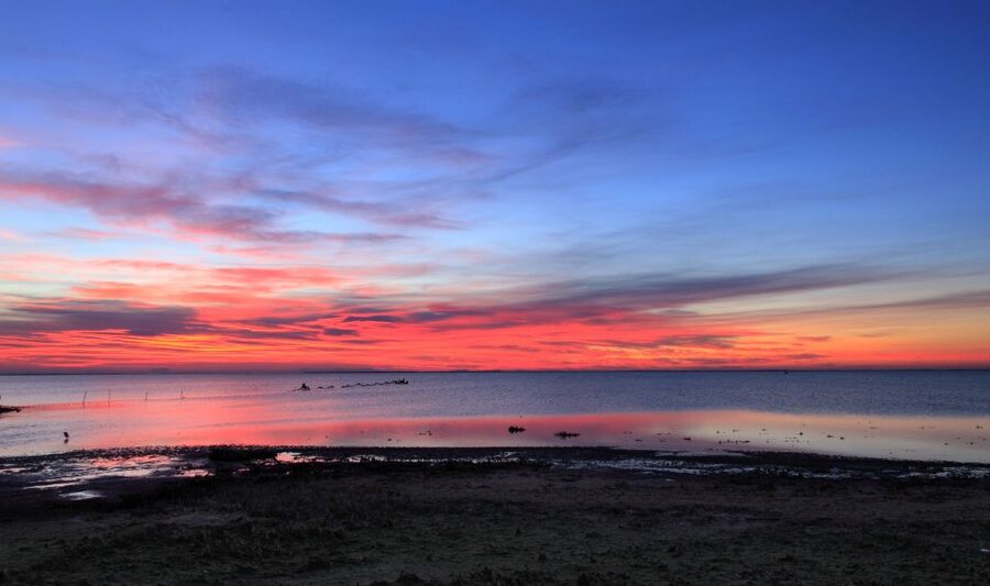 From Avignon: Half-Day Camargue and Saintes-Maries-de-la-Mer - Is $105 a fair price for five hours?