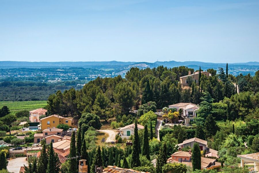 From Avignon: Half-Day Great Vineyards Tour - Family estates, cellars, and the human side of wine