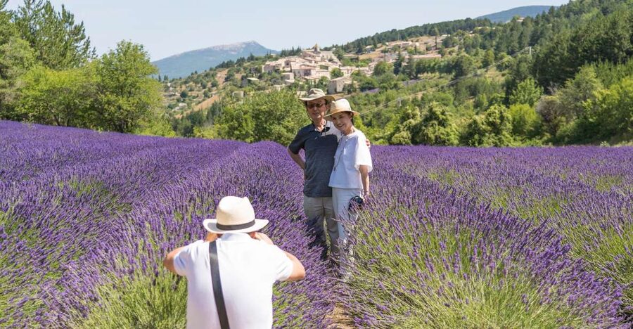 From Avignon: Half-Day Lavender Tour of Luberon - Lavender fields: the main event