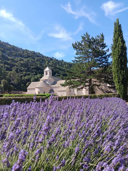 From Avignon: Half-Day Lavender Tour of Luberon - Gordes from the panoramic lookout