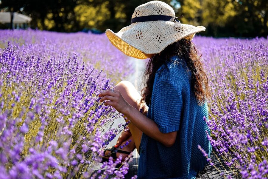 From Avignon: Lavender Fields & Luberon Village Guided Tour - Final verdict: a smart full-day choice from Avignon