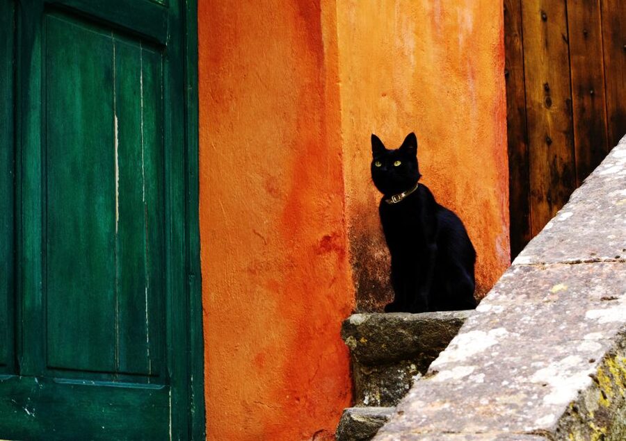 From Avignon: Lavender Fields & Luberon Village Guided Tour - Roussillon and the Ochre Trail