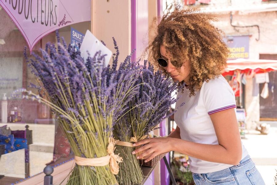 From Avignon: Lavender Villages Full-Day Tour - Sénanque Abbey and the classic Provence photograph
