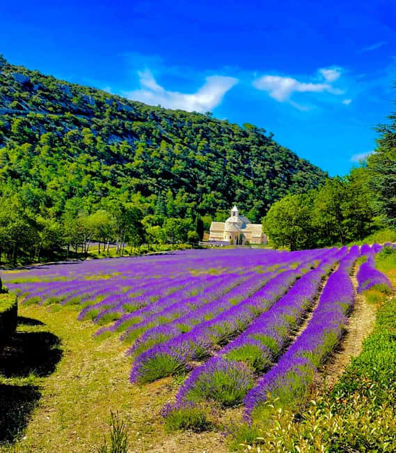 From Avignon: Provence Highlights Full-Day Tour - Why this day works for Provence first-timers