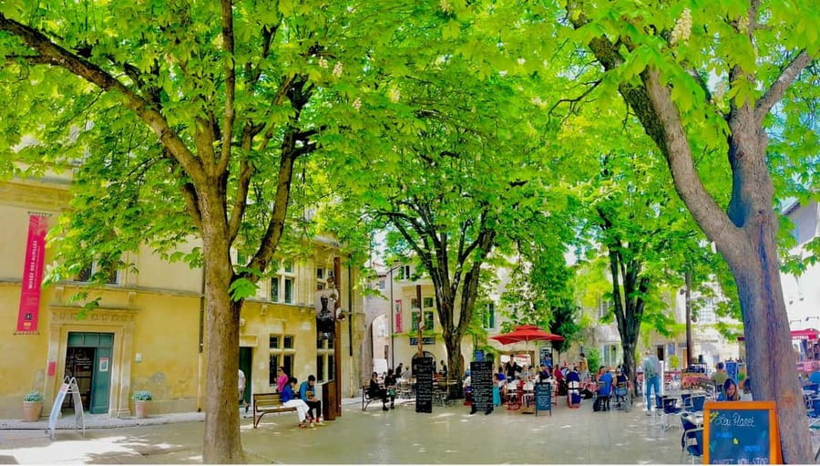 From Avignon: Provence Highlights Full-Day Tour - Seasonal changes: lavender and the Sunday market